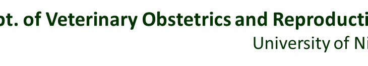 Obstetrics and reprodutive diseases