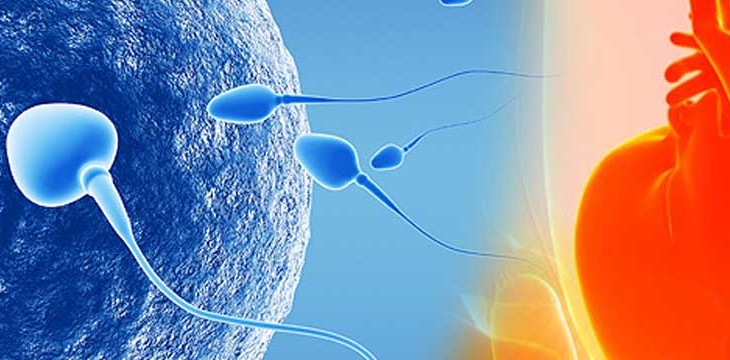 1503285729ObstetricsGynecology